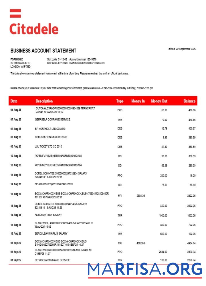 Realistic Citadele enterprise account statement Word and PDF template (1)